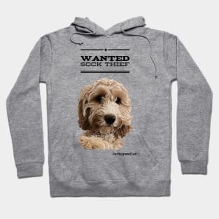 Cockapoo / Doodle Dog Sock Thief Hoodie